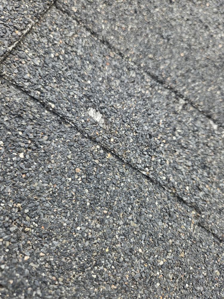 Granule loss and hail bruising on shingles